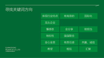 百利金企業(yè)形象策劃方案演示